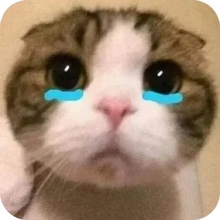 Telegram sticker 🥺 အူရှီဟာ_မောင်သူရ