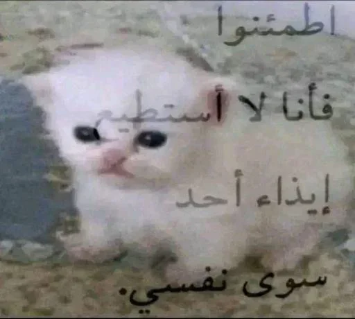 Telegram sticker 😔 Laith 2.0 @xs1l1