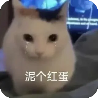 Telegram sticker 😭 这个世界不能没有小茂密