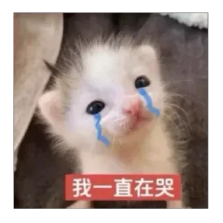 Telegram sticker 😭 这个世界不能没有小茂密