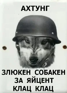 Telegram sticker 🤩 CocalaSofia(Яяя) @TgEmodziBot
