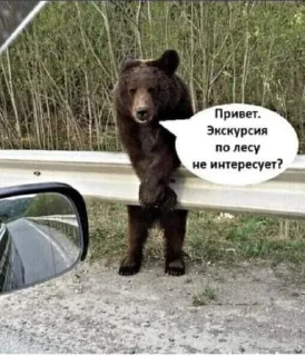Telegram sticker 🤩 CocalaSofia(Яяя) @TgEmodziBot