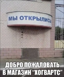 Video sticker 🤩 CocalaSofia(Яяя) @TgEmodziBot
