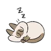 Sticker 😪 Siamese Cat Lil Bean Puree Emoji