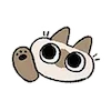 Video sticker 🙋‍♀️ Siamese Cat Lil Be...