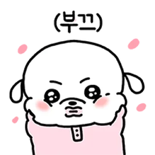 Video sticker ⭐ 복슬임다 @manbull_sticker_bot