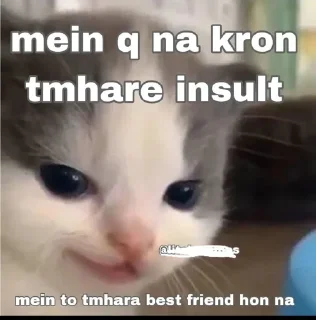 Video sticker 🙂 VINAY[2] @TgEmojis_bot