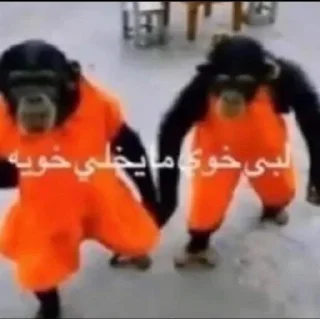 Telegram sticker 🚢 ابو زهره 😑 @SticZ_Bot • @aljoker_z_e