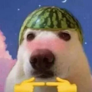 Telegram sticker 😞 ابو زهره 😑 @SticZ_Bot • @aljoker_z_e