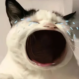 Телеграм стикер 😭 Kratsssiieee@Chocolatesandicecreamms :: @fStikBot