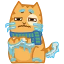 Video sticker ❄️ Покупка д�...