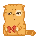 Video sticker 💔 Покупка д�...