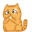 Video sticker 😬 Покупка д�...