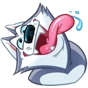 Video sticker 🤪 Hussie Goodboy