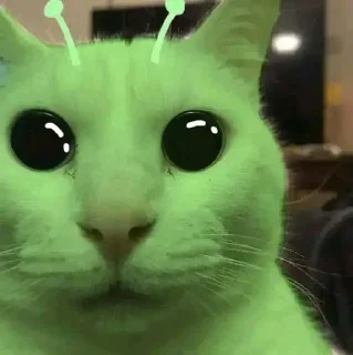 Telegram sticker 👽 Julio César