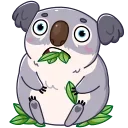 Telegram stiker 😳 Kozy Koala