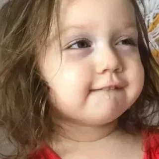 Video sticker 🤤 Dejen de chorearme los stickers loros