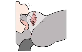 Video sticker 😛 NSFW cub girls — @stckrRobot