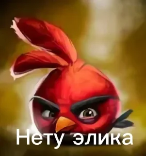 Telegram sticker 🌟 Птички сидим не рыпаемся :: @fStikBot
