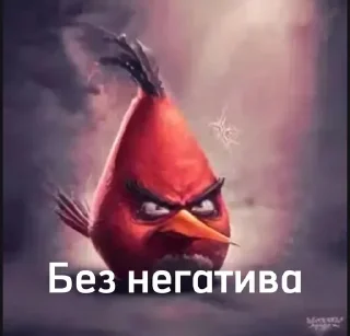 Telegram sticker 🌟 Птички сидим не рыпаемся :: @fStikBot