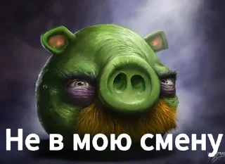 Telegram sticker 🌟 Птички сидим не рыпаемся :: @fStikBot