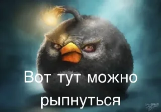 Telegram sticker 🌟 Птички сидим не рыпаемся :: @fStikBot