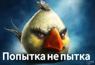 Telegram sticker 🌟 Птички сидим не рыпаемся :: @fStikBot