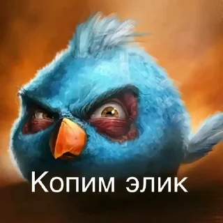 Video sticker 🌟 Птички сидим не рыпаемся :: @fStikBot