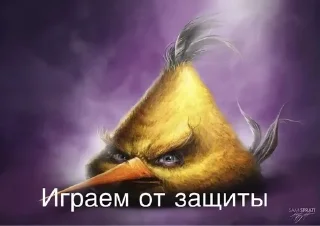 Video sticker 🌟 Птички сидим не рыпаемся :: @fStikBot