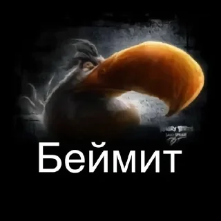 Video sticker 🌟 Птички сидим не рыпаемся :: @fStikBot