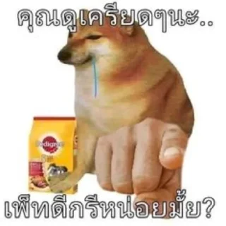 Телеграм стикер 😋 sticker