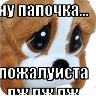 Telegram sticker 😊 miay