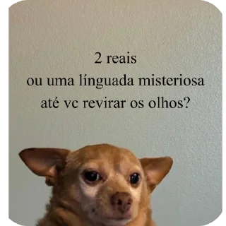 Telegram sticker 🐶 Pacote do negão