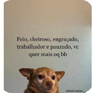 Telegram sticker 🐶 Pacote do negão
