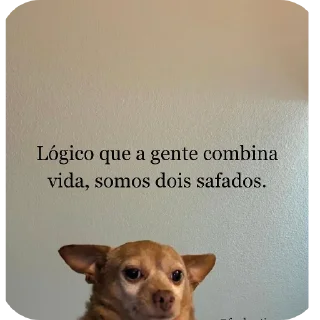 Video sticker 🐶 Pacote do negão