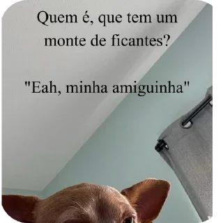 Video sticker 🐱 Pacote do negão