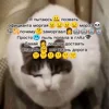 Video sticker 🤩 комбагру �...