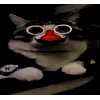 Video sticker 🤩 комбагру �...