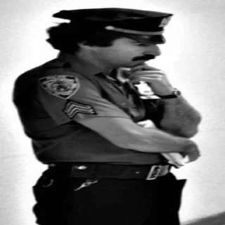 Video sticker 🤨 помойная яма