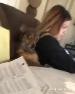 Video sticker 😋 Saja