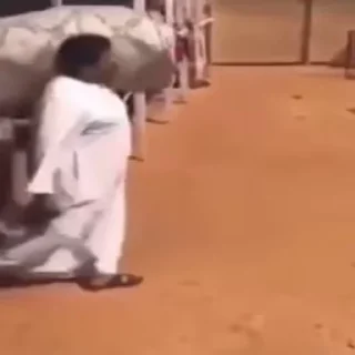 Video sticker 🚒 Saja