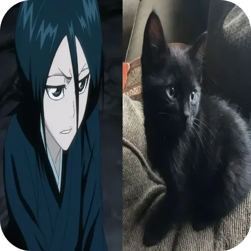Телеграм стикер 🐱 Больше стиков тут: @stikery4