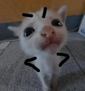 Телеграм стикер 😢 Karrar/@Karrar_rr