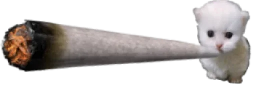 Telegram sticker 🚬 imunelemybelovedwXDXD :: @fStikBot