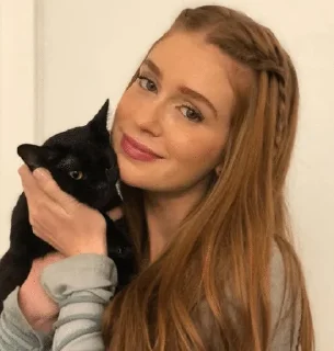 Video sticker 🌸 MRuyBar💐✨ :: @fStikBot