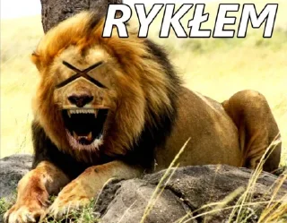 Телеграм стикер 😆 Beznadziejne naklejki Lecha