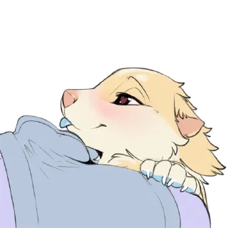 Video sticker 🎾 Shurya and lewds