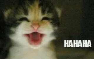 Telegram sticker 😆 GDKEOEKSKXHDJSKSKXSHSKCOEKSGSG :: @fStikBot