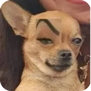 Video sticker 🤲 reactions