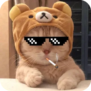 Video sticker 🧸 Good luckهدا ᡣ𐭩˚